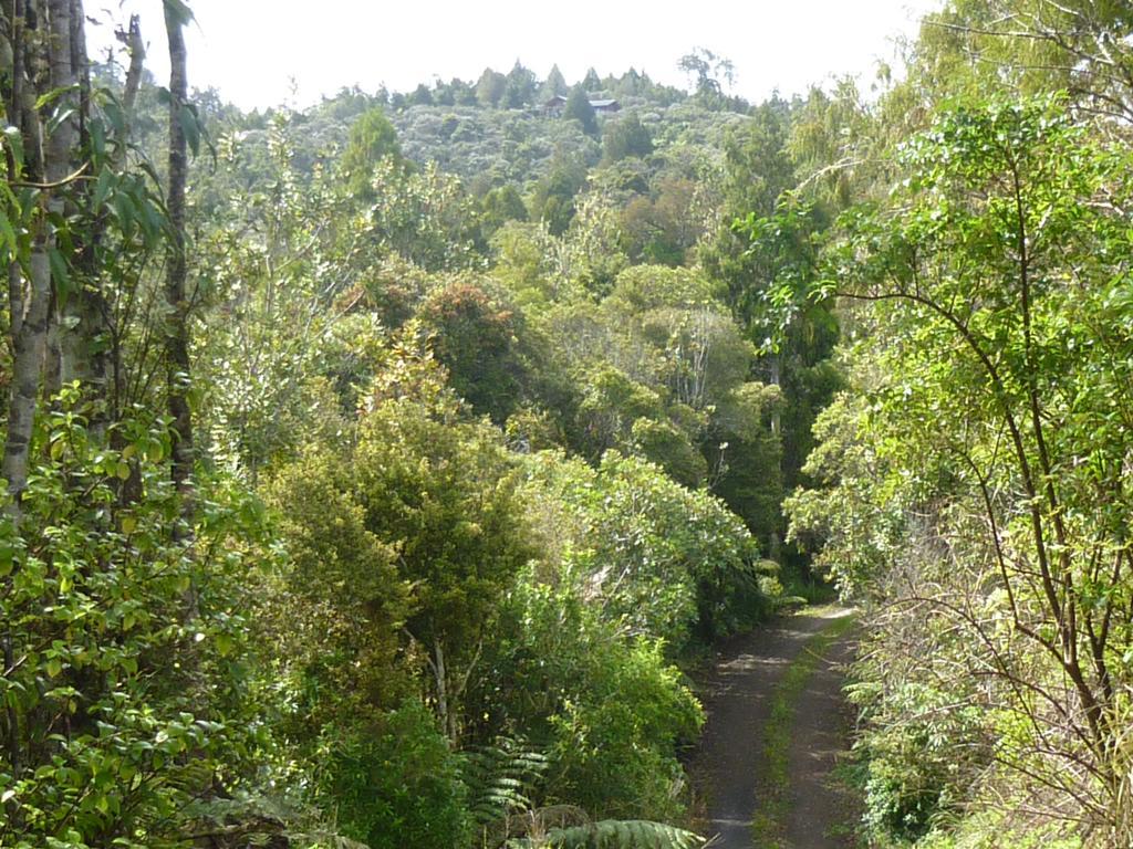 Fern Ridge Hideaway Vila Victoria Valley Exterior foto